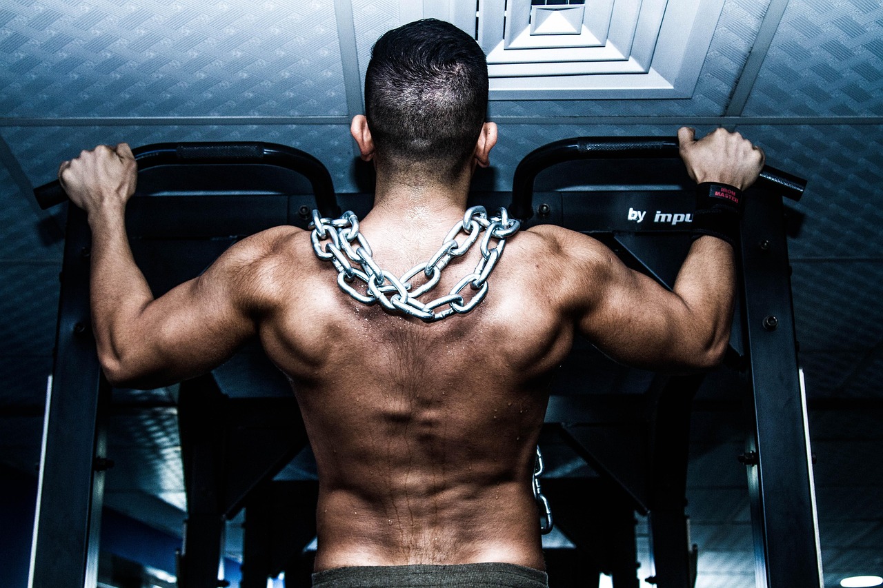 one rep max pull-up